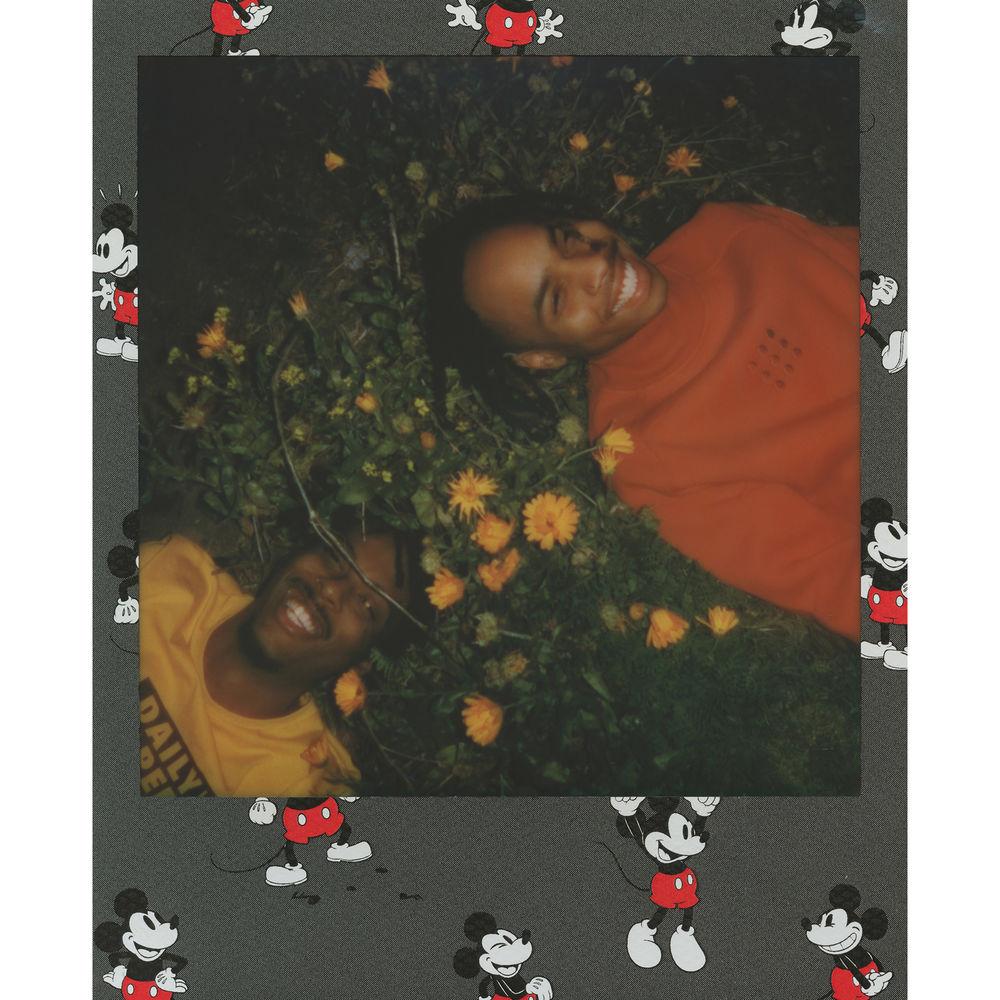 Polaroid Originals Color 600 Instant Film