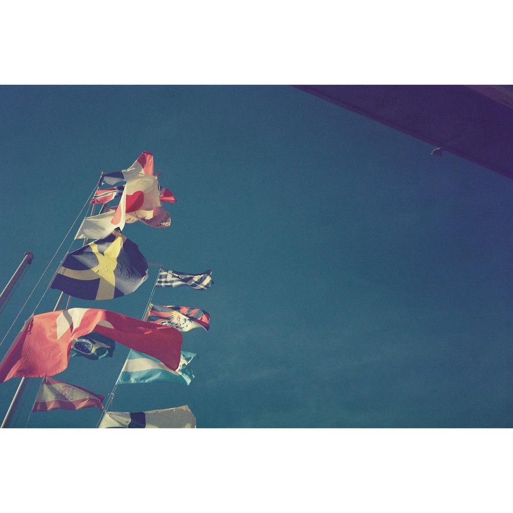 dubble film Bubblegum 200 Color Negative Film