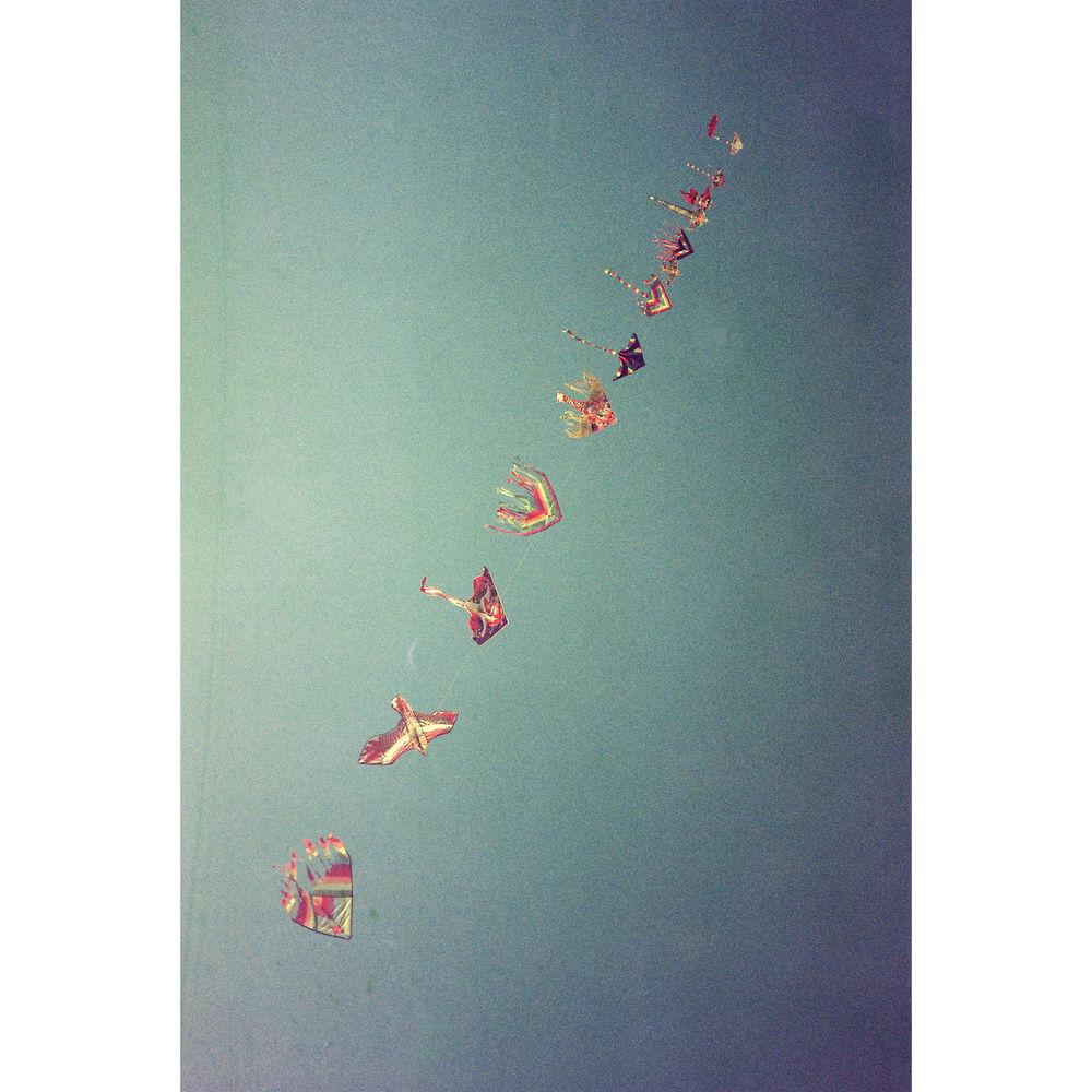 dubble film Bubblegum 200 Color Negative Film