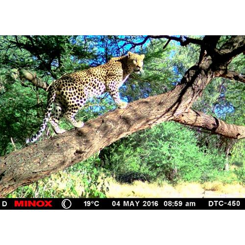 Minox DTC 450 Slim Digital Trail Camera