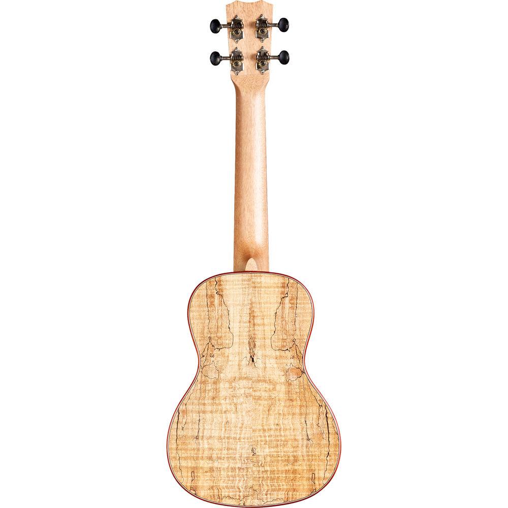 Cordoba 24C 24 Series Concert Ukulele