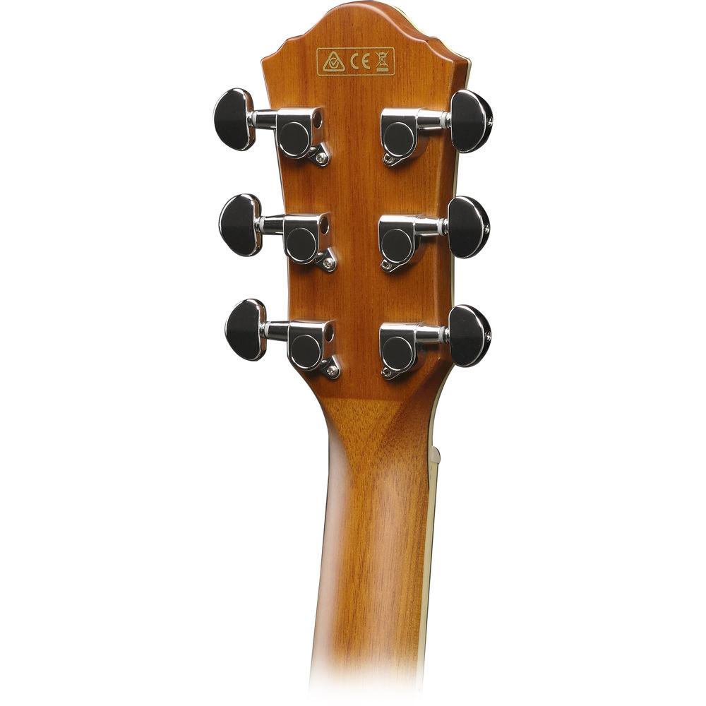 Ibanez AEG10II Acoustic Electric Guitar