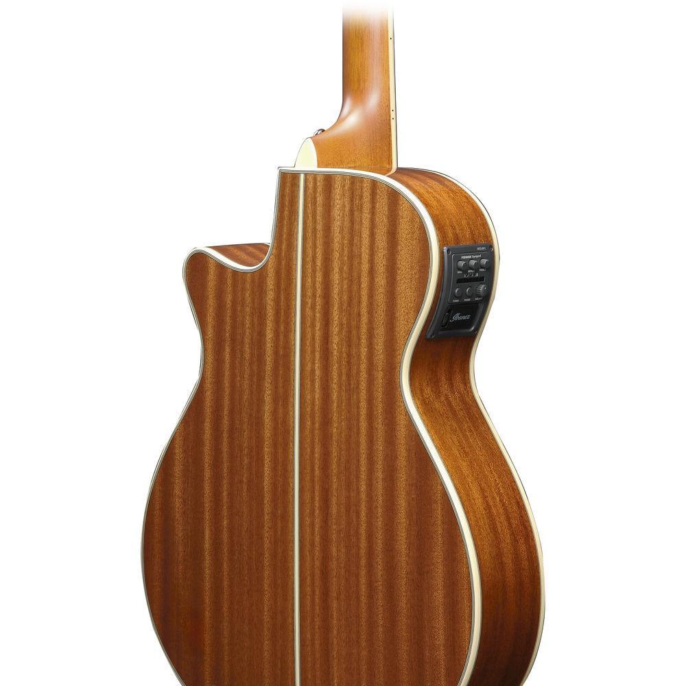 Ibanez AEG10II Acoustic Electric Guitar