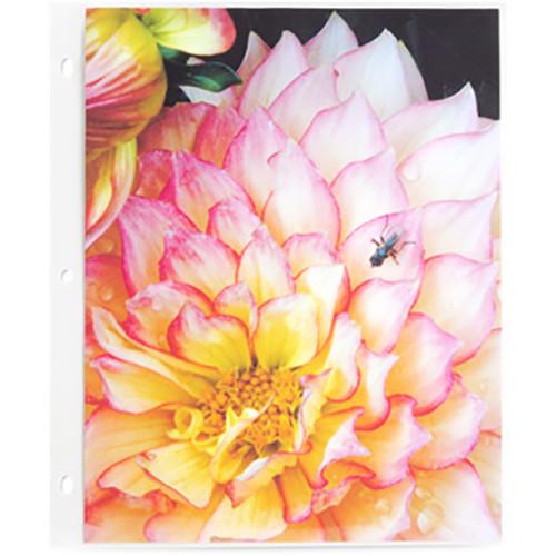 Pina Zangaro Pro-Archive Sheet Protectors