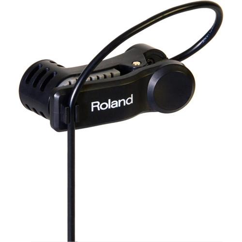 Roland EC-10M El Cajon Mic Processor