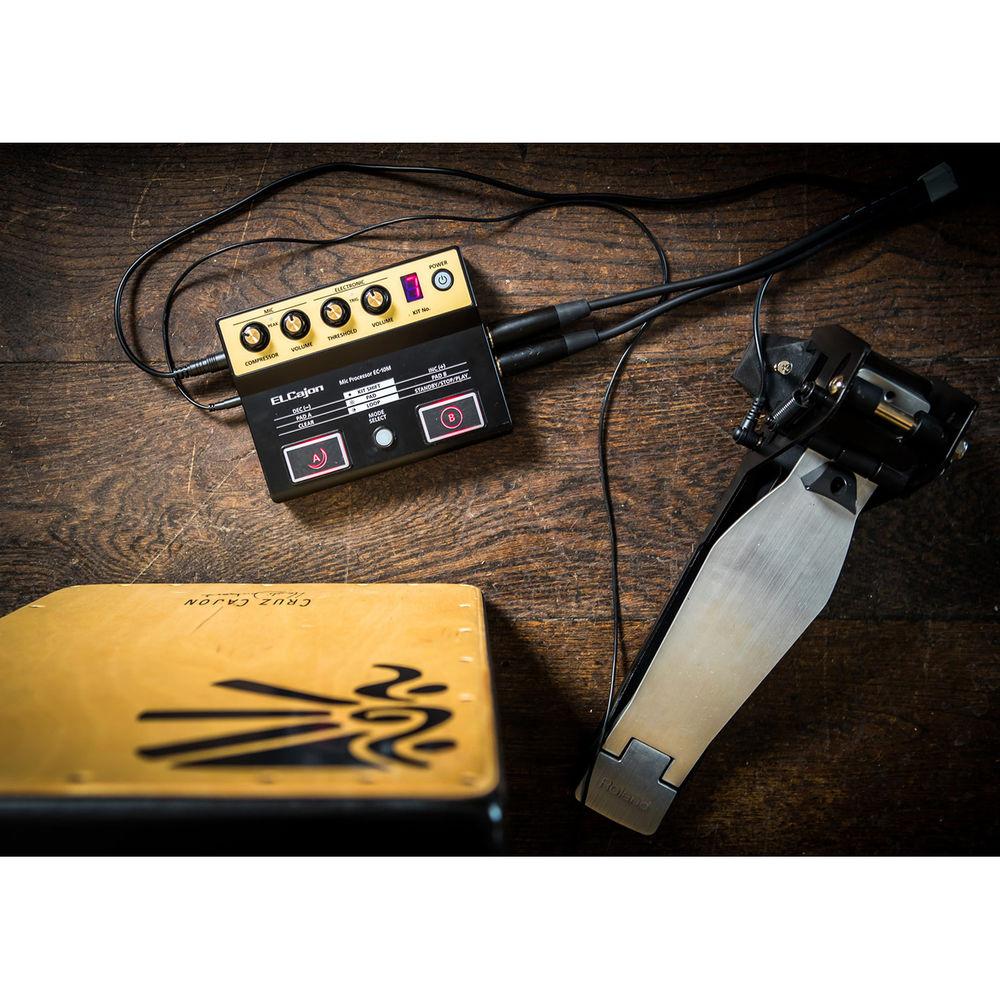 Roland EC-10M El Cajon Mic Processor