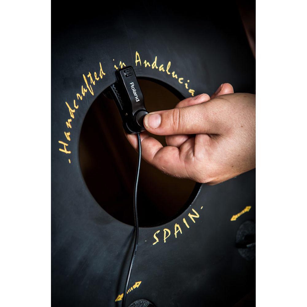 Roland EC-10M El Cajon Mic Processor