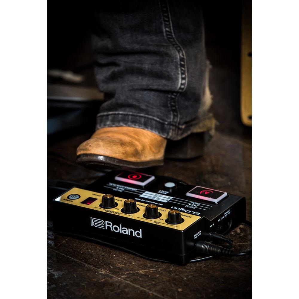 Roland EC-10M El Cajon Mic Processor