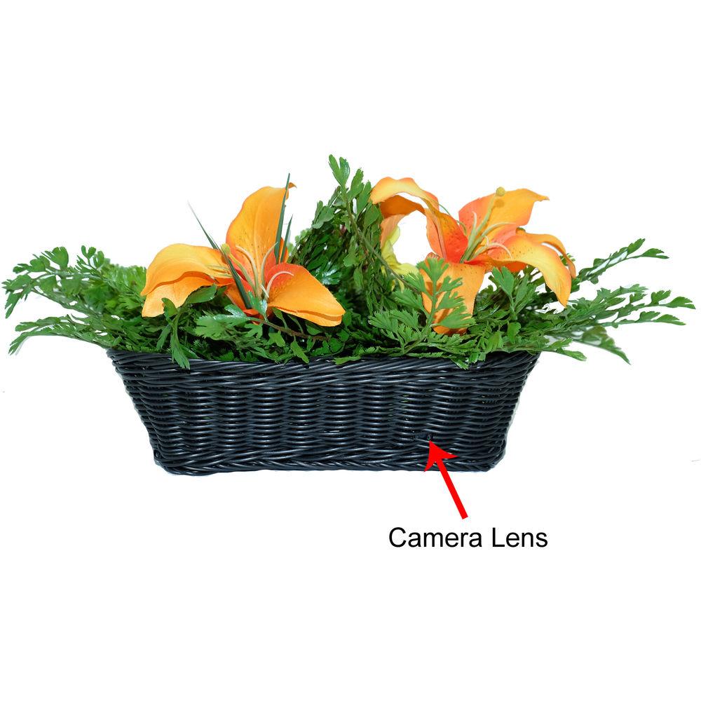 Bush Baby Decorative Fern with 4K UHD Covert Wi-Fi Camera