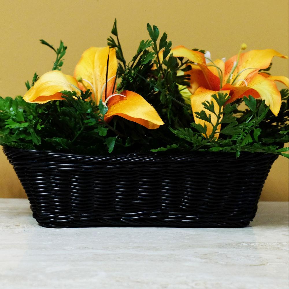 Bush Baby Decorative Fern with 4K UHD Covert Wi-Fi Camera