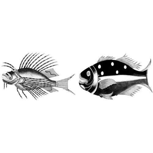 Cyanotype Store Cyanotype Paper & Fanciful Fish Transparencies Kit