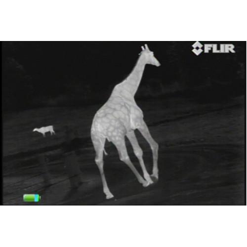 FLIR Scout III 320 Thermal Monocular