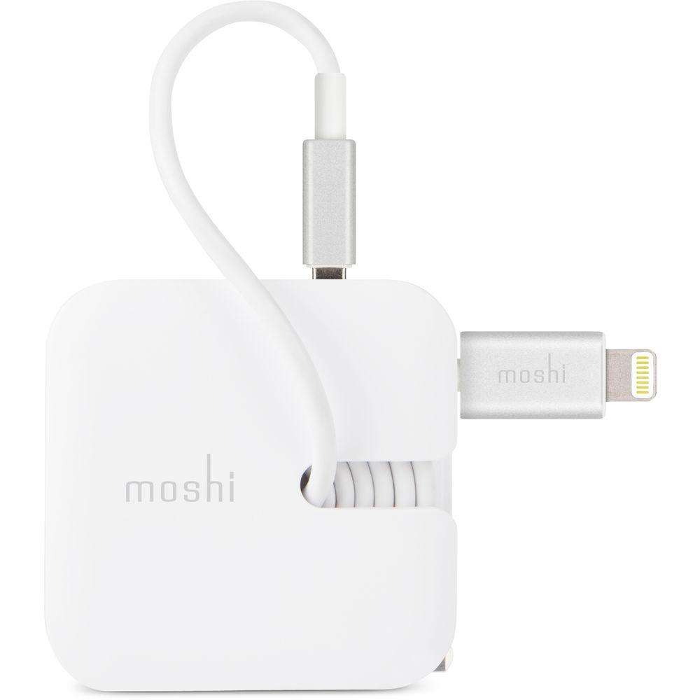 Moshi Wall Charging Kit