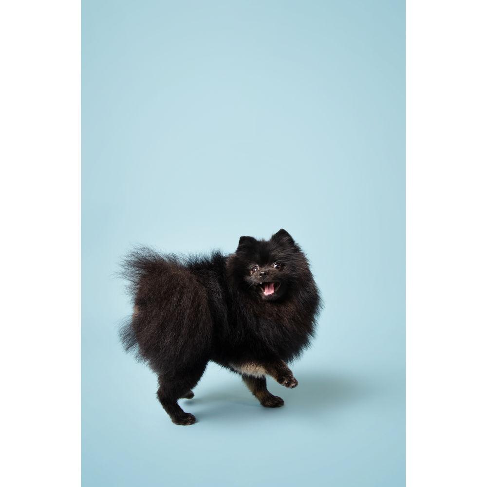 Savage Widetone Seamless Background Paper