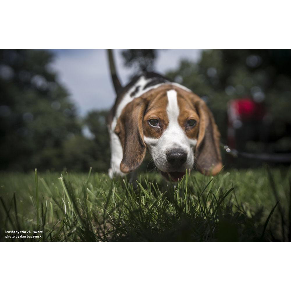 Lensbaby Trio 28mm f 3.5 Lens for Micro Four Thirds