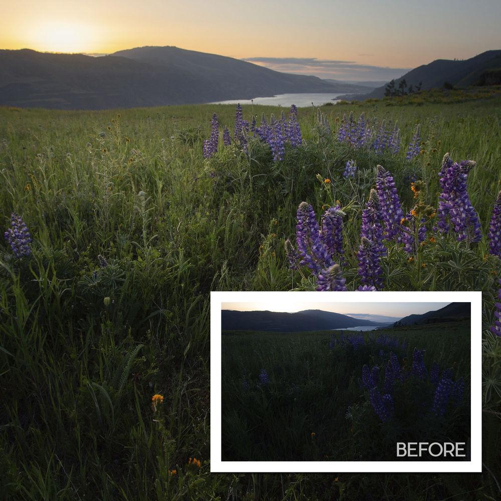 Matt Kloskowski Photography Video: No Light? No Problem! Course