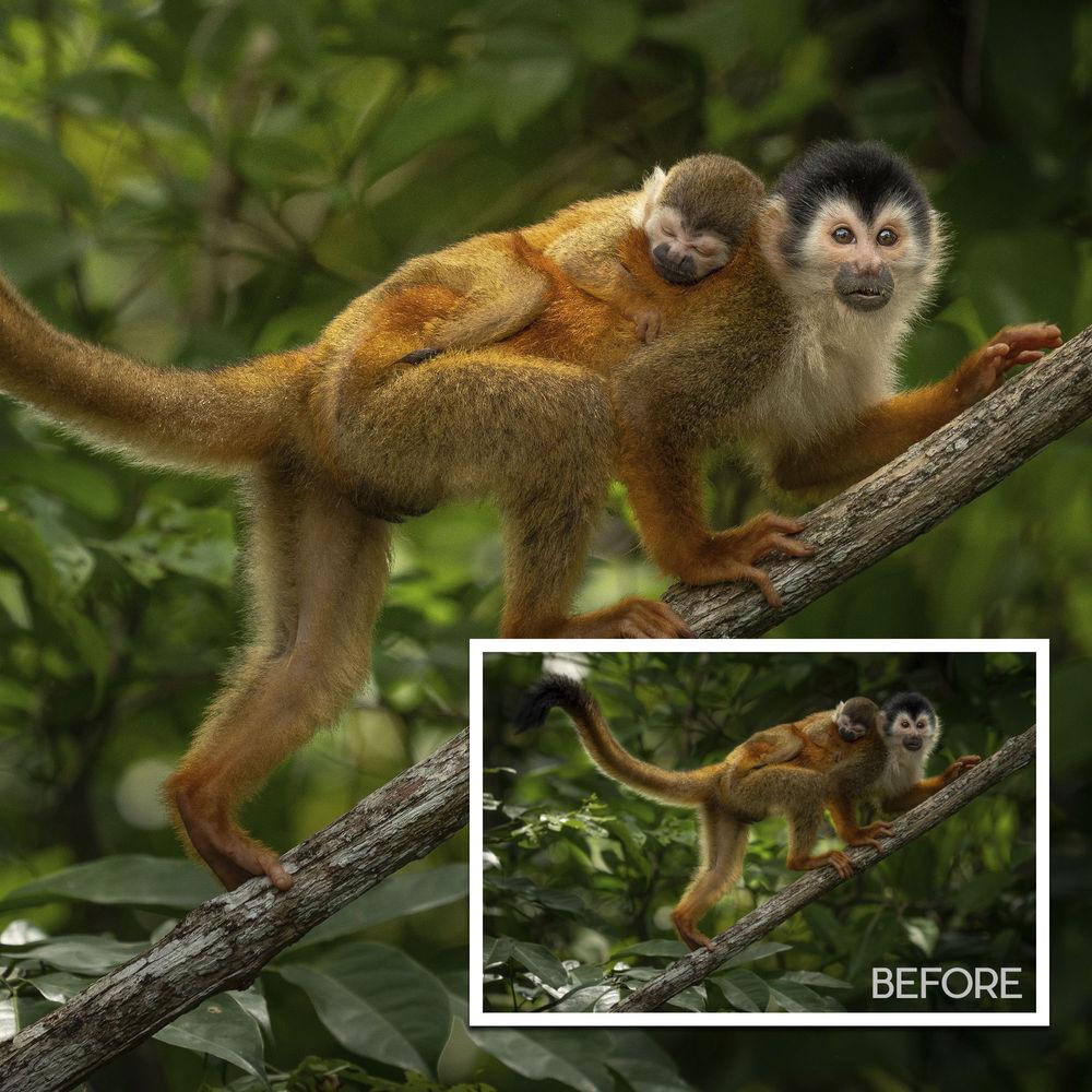 Matt Kloskowski Photography Video: No Light? No Problem! Course