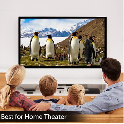 Pyle Pro Fixed Wall Mount Projector Screen