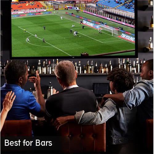 Pyle Pro Fixed Wall Mount Projector Screen