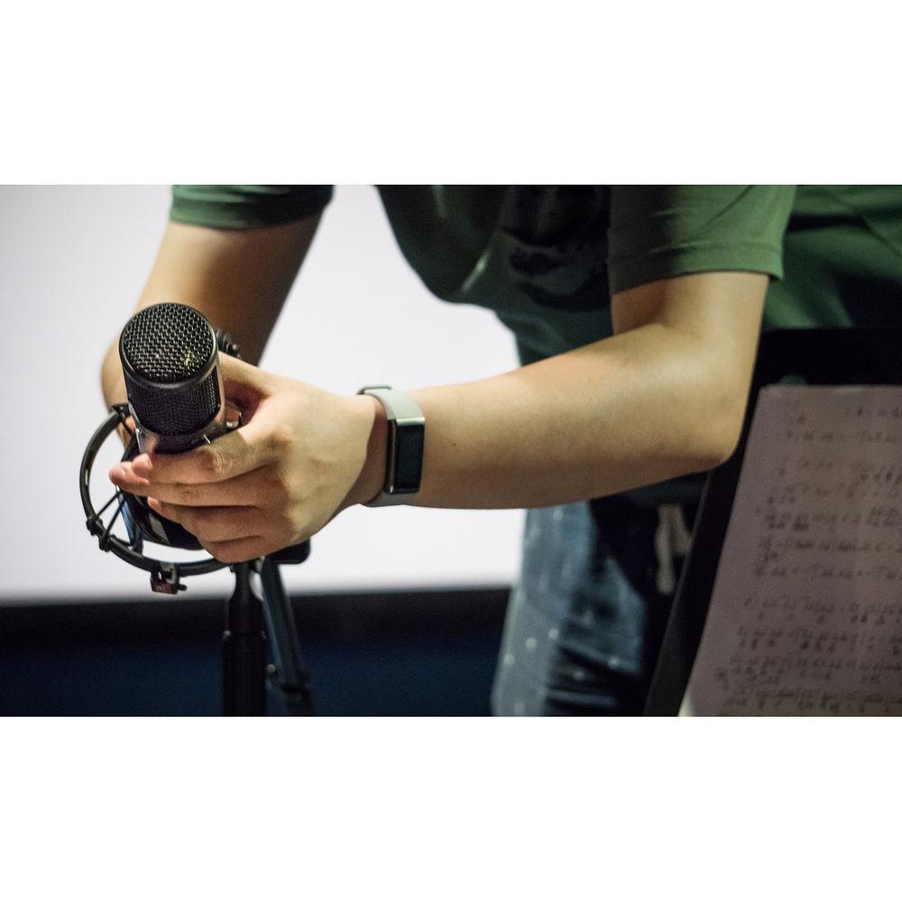 sE Electronics sE2300 Studio Condenser Microphone with Switchable Polar Patterns and Isolation Pack