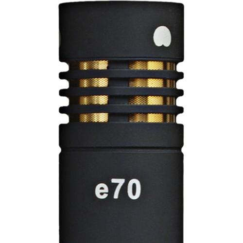 CAD e70 Modular Dual-Capsule Condenser Microphone