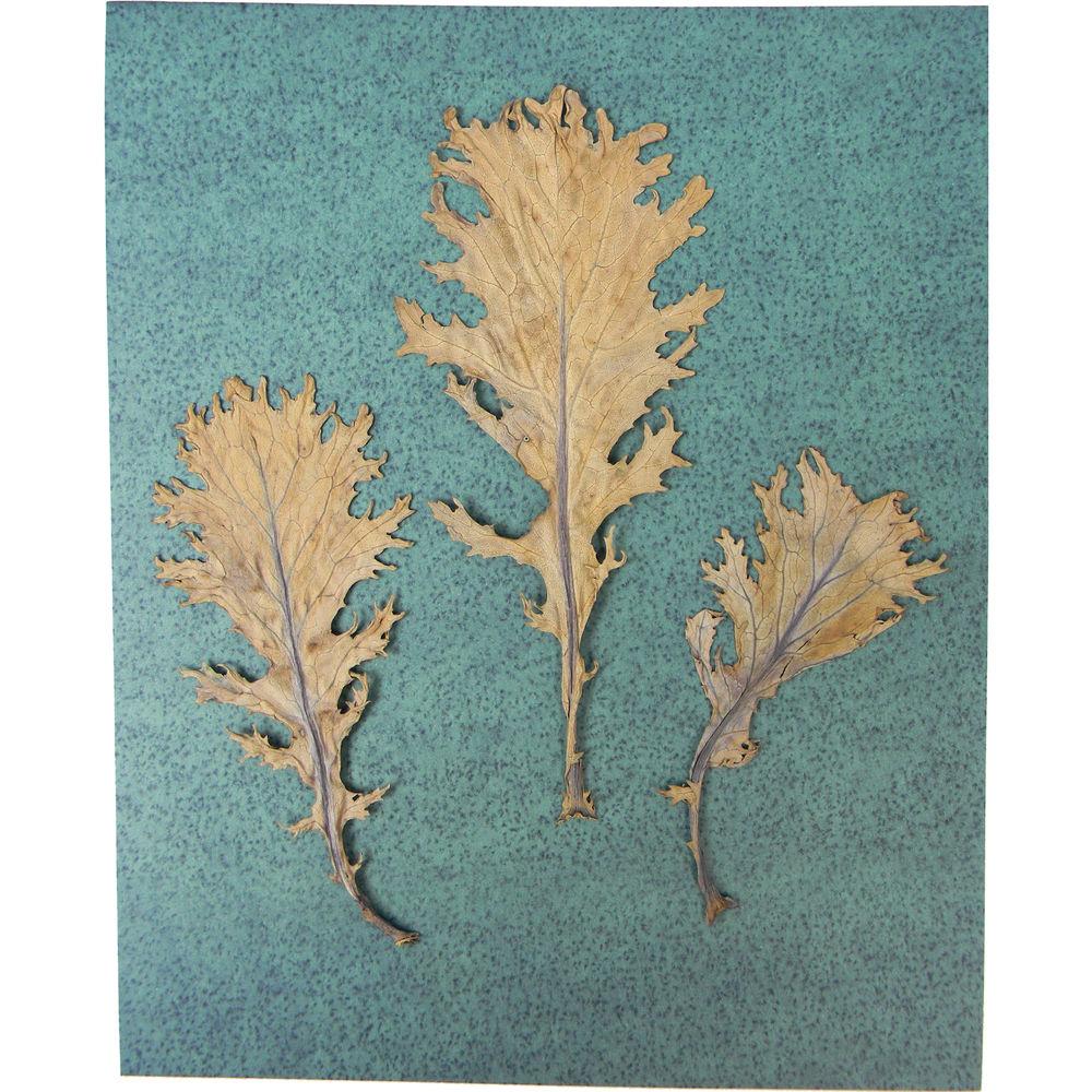 Cyanotype Store Cyanotype Paper