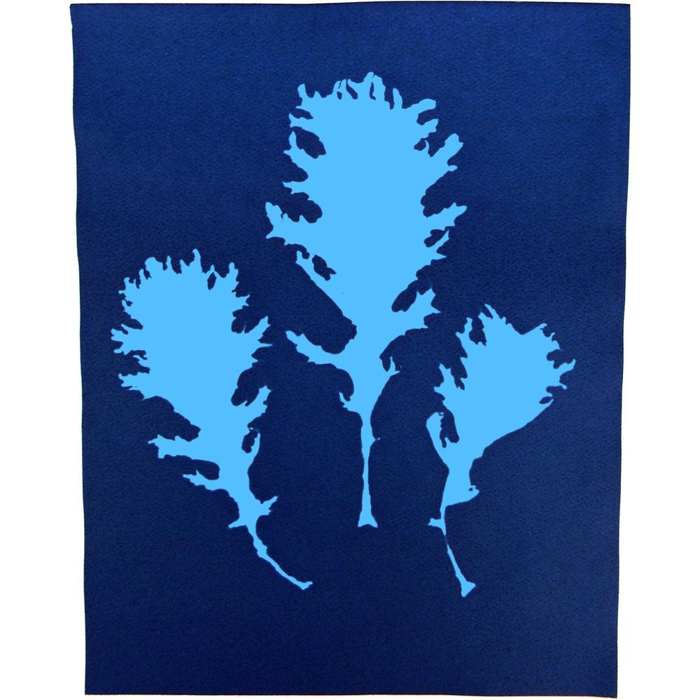 Cyanotype Store Cyanotype Paper