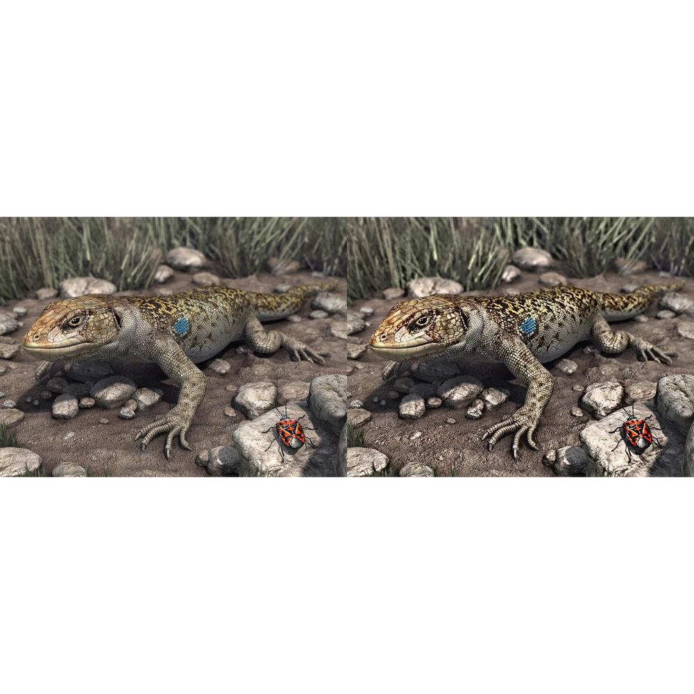 DarbeeVision DVP-5000S HDMI Video Processor