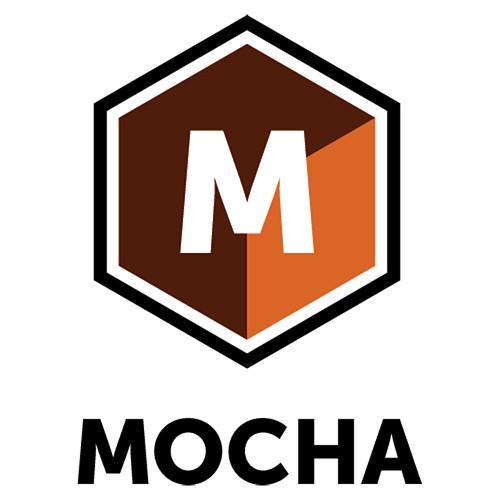Boris FX Mocha Pro 5 Floating License Add-On
