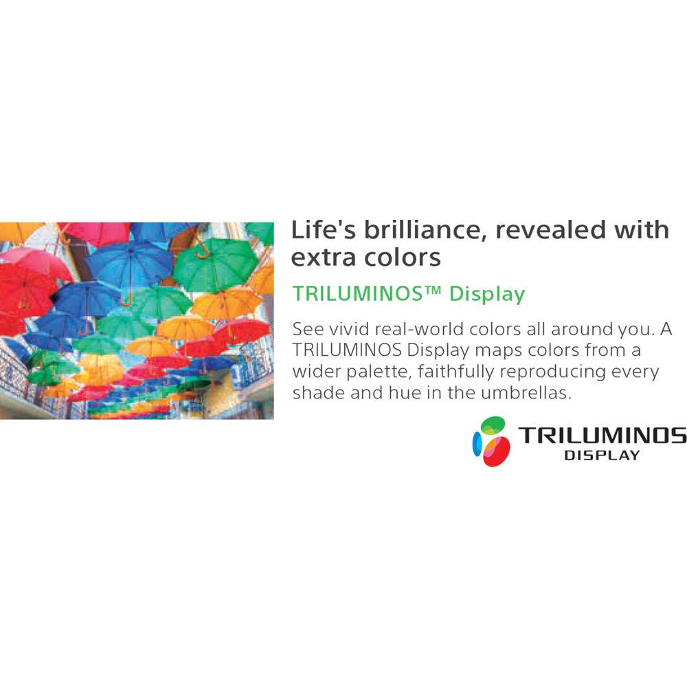 Sony FWD-X800E-Series 43"-Class HDR UHD Smart LED TV