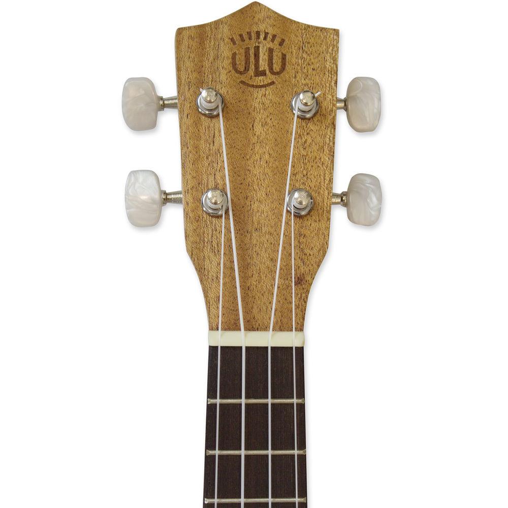 eMedia Music Mahogany Ukulele Pack Soprano Ukulele with Gig Bag, Accessories, and Instructional Materials