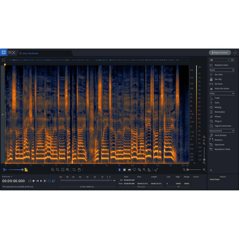iZotope RX Elements Version 7 - Audio Restoration and Enhancement Software