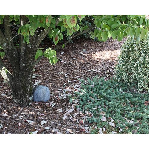 KJB Security Products Xtreme Life Landscape Stone with 4K UHD Covert Camera & DVR