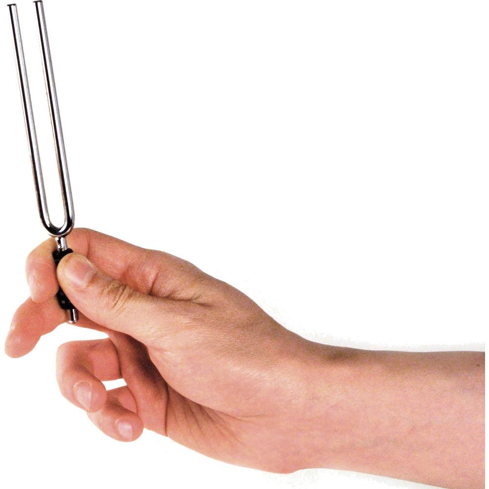 Planet Waves Tuning Fork for Key of "E"