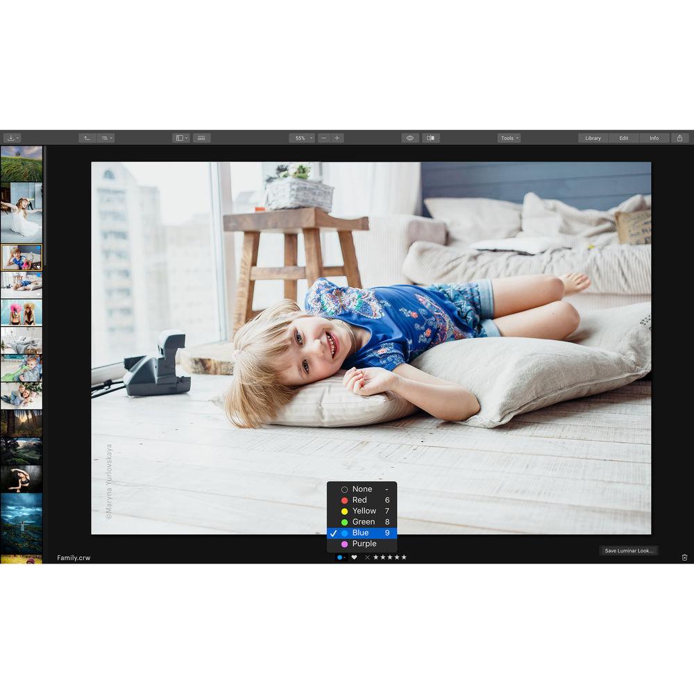 Skylum Luminar 3 for Windows