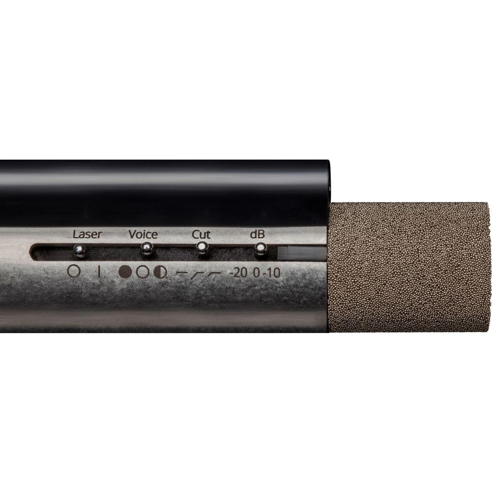 Aston Microphones Starlight Small-Diaphragm Condenser Microphone