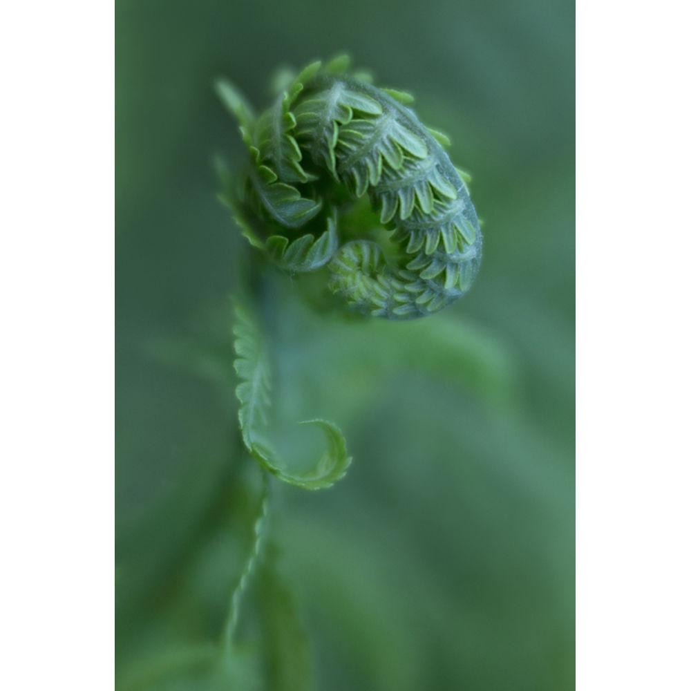 Lensbaby 46mm Macro Filter Kit