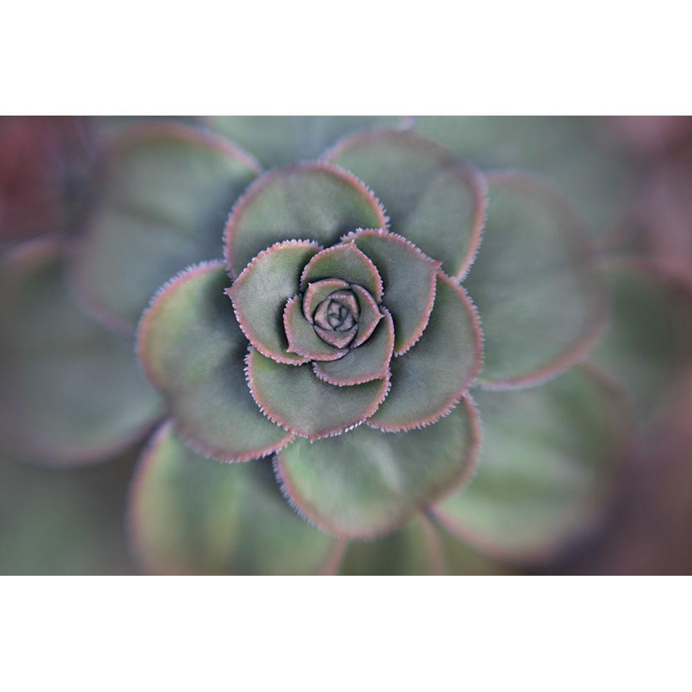 Lensbaby 46mm Macro Filter Kit