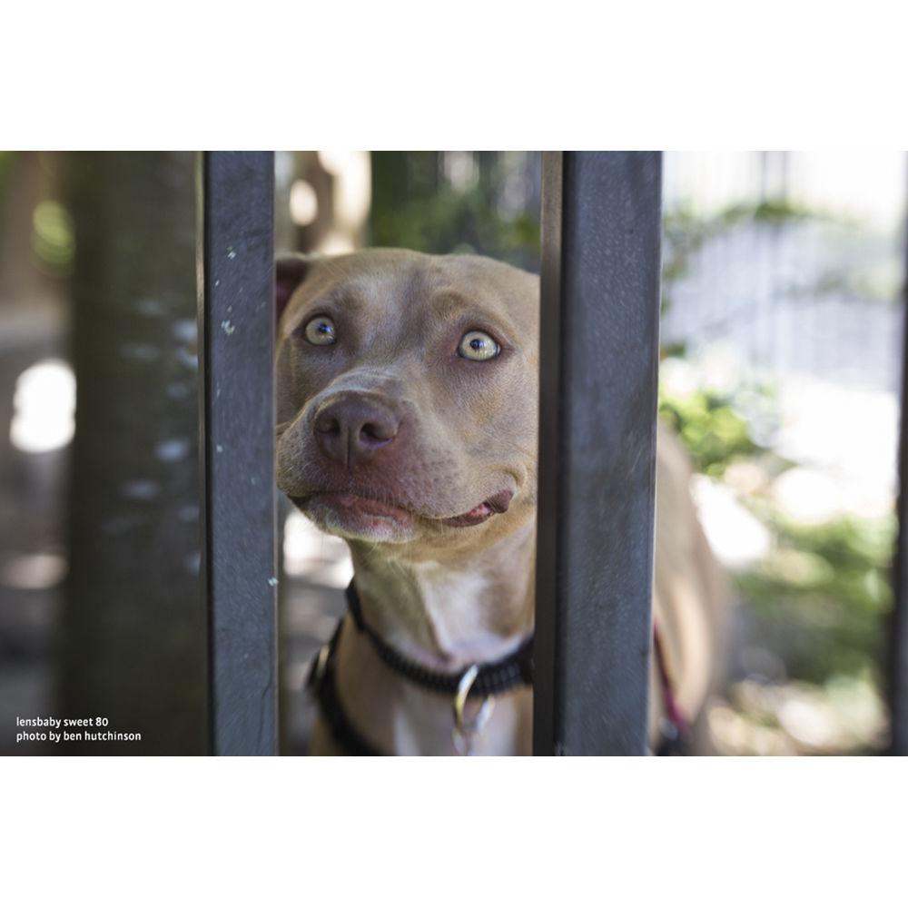 Lensbaby Composer Pro II with Sweet 80 Optic for Nikon F