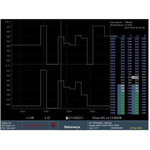 Tektronix Multi-Format Waveform Monitor with Integrated Display