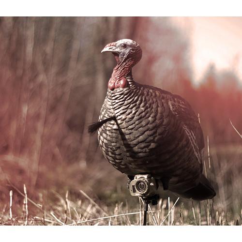 Spypoint Decoy Mounts