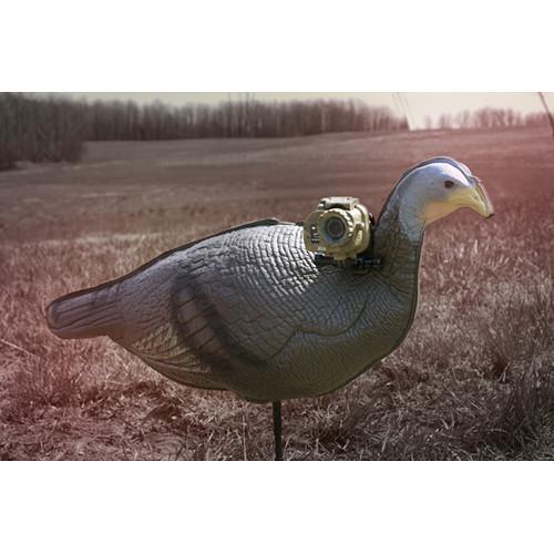 Spypoint Decoy Mounts