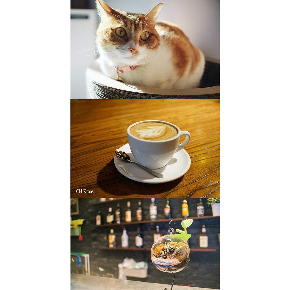 7artisans Photoelectric 25mm f 1.8 Lens for Micro Four Thirds