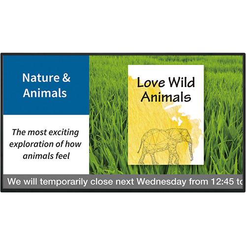 Sharp PN-B401 40" Class Smart Signage LCD Monitor - Brilliant High Definition Resolution