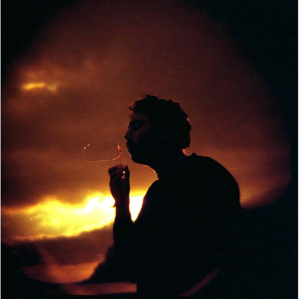 Lomography Diana F Camera and Flash