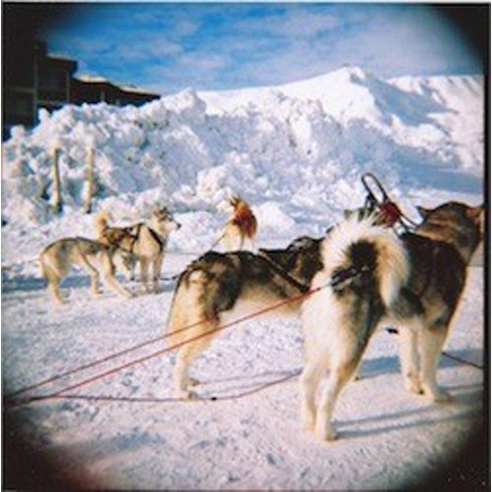 Lomography Diana F Camera and Flash