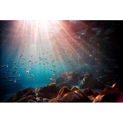 Lomography LC-Wide 35mm Film Camera