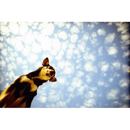 Lomography LC-Wide 35mm Film Camera