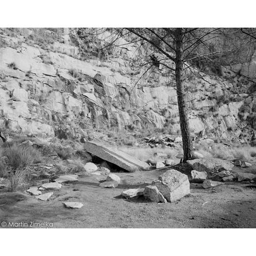 Rollei Ortho 25 Black and White Negative Film