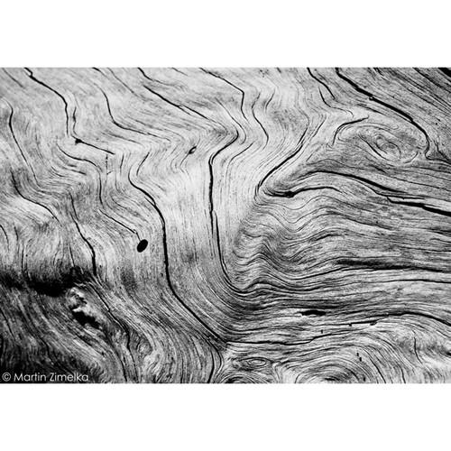 Rollei Ortho 25 Black and White Negative Film